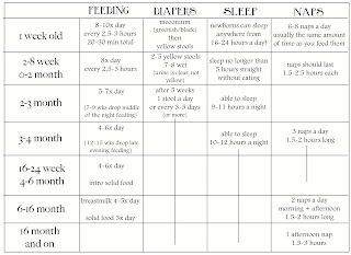 10 Month Old Baby Development