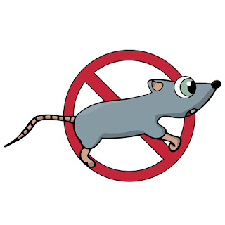 مكافحة الفئران بالرياض 