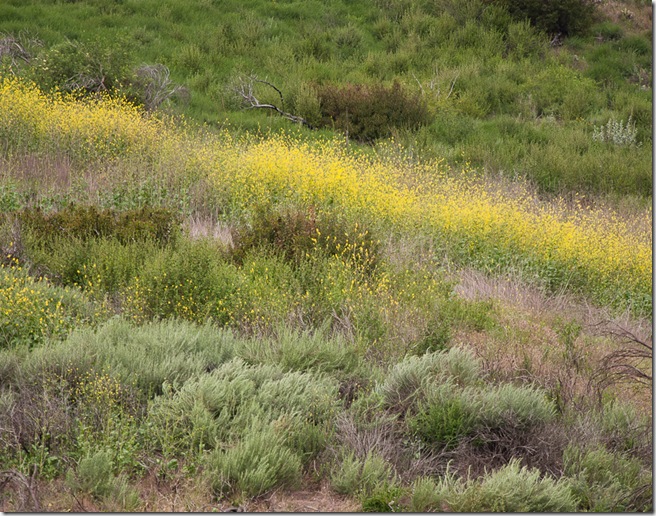 Weir Canyon-8