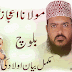 Aulad ki tarbiyat balochi bayan molana Ijaz ali hajiz balochi bayan l helpful in raising children.