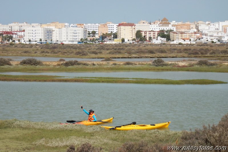 La Magdalena - Caño del Carrascón - Gallineras - Caño de Sancti Petri