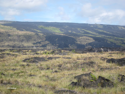 Hawaiian coast, looking inland