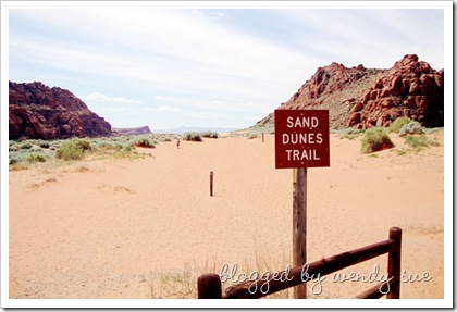 060609_snowcanyon_sand1