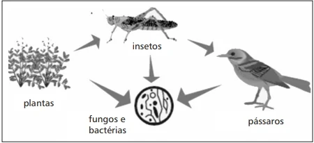 cefet