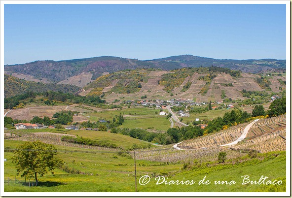 RibeiraSacra-46