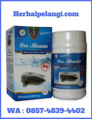 Jual Kapsul Pro Albumin Di Indragiri Hilir | WA : 0857-4839-4402