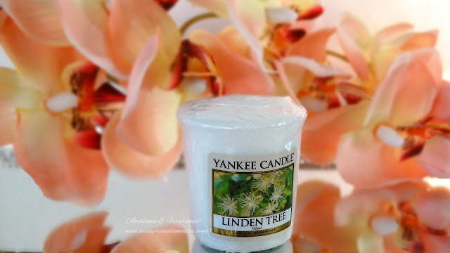 avis Linden Tree de Yankee Candle