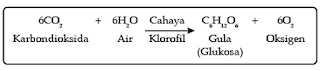 Pengertian Fotosintesis dan Proses Fotosintesis