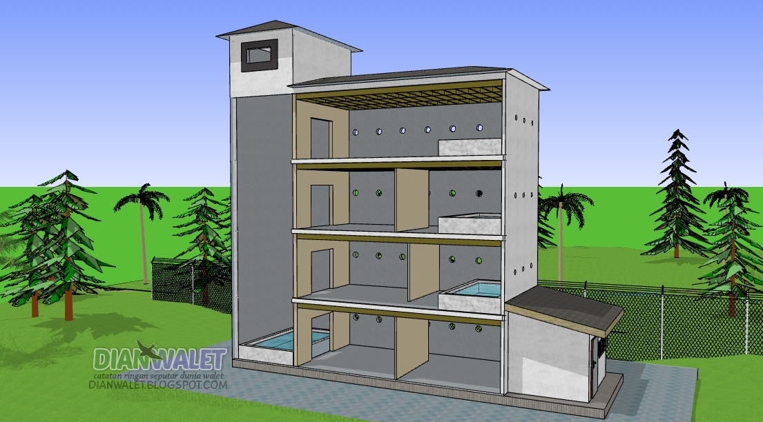 Desain Gedung Walet (RBW) 4X10 Lengkap Dengan Sekat Ruang ...