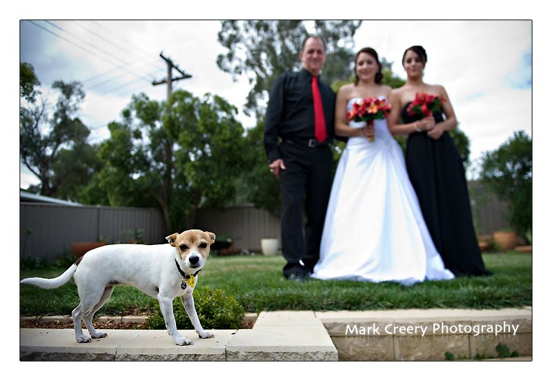 ... fort collins co colorado venue wedding photographer fort collins co