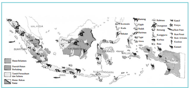 Jenis dan Persebaran Flora dan Fauna di Indonesia 