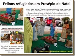 Felinos refugiados em Presépio de Natal_thumb[1]