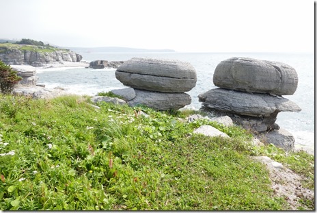 nl_corner_brook_sheavescove9