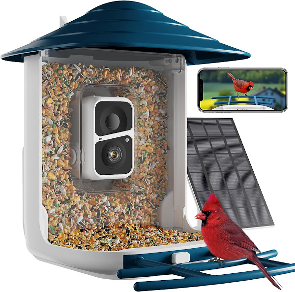 Smart Bird Feeder with Camera