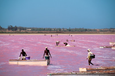 Senegal lago rosa que ver