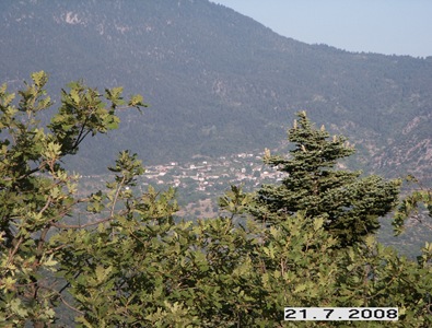 21-7-2008 008