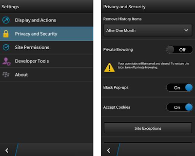 Blackberry Private Browsing