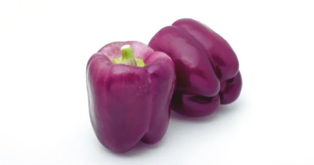 Purple Bell Pepper