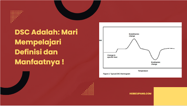 DSC Adalah