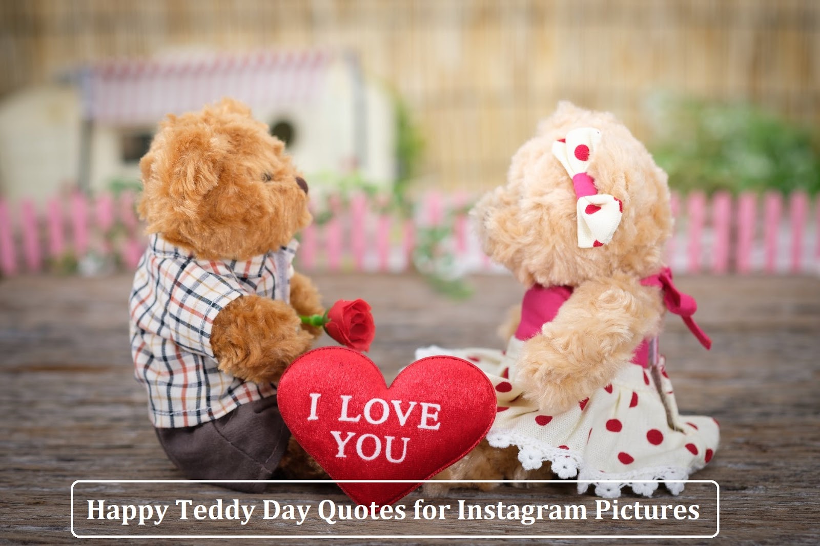 60 Happy Teddy Day Quotes For Instagram Pictures Good Insta