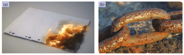 Kertas terbakar dan besi berkarat contoh perubahan kimia