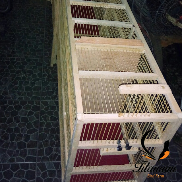 Kandang umbaran murai batu murah meriah Titanium Bird Farm