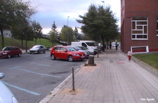 El grupo ecologista Eguzki denuncia la tala de más de 40 olmos en las Torres de San Vicente