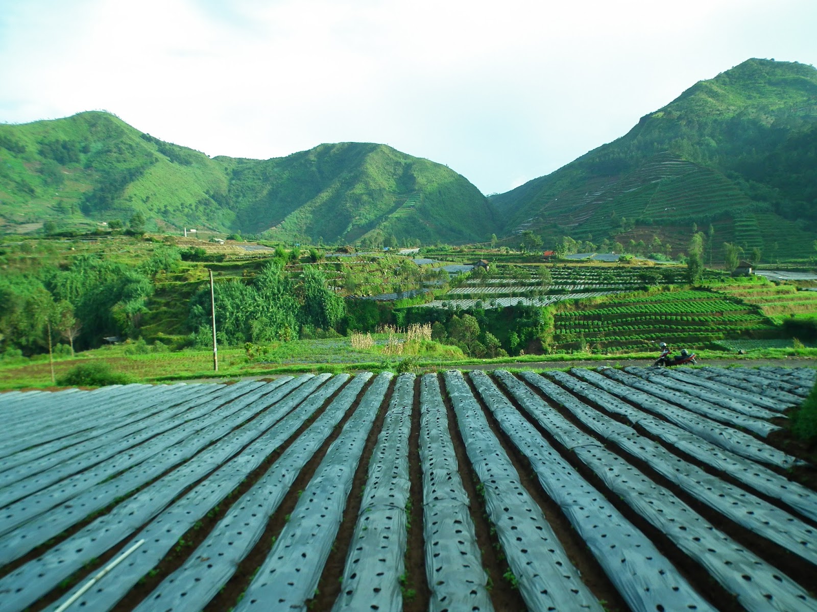  Paket Study tour Dieng 2 Hari 1 Malam Paket Wisata Dieng 