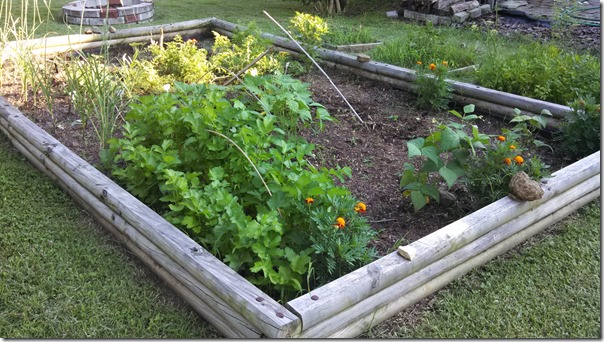garden 06 (28)