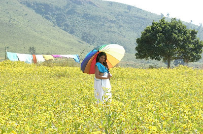 hot padma priya stills from telugu movie andhari banduvaya