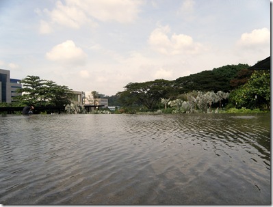 P1100395