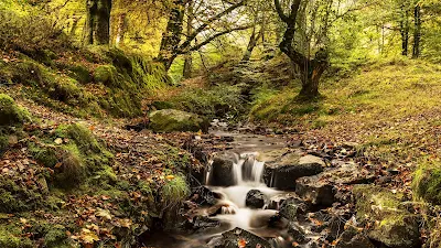 Autumn, Nature, Stream, River, Trees, Rocks