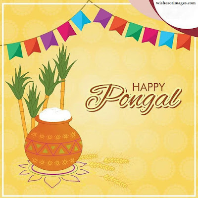 Happy Pongal HD Images