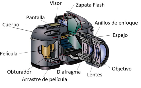 Partes de la Cámara