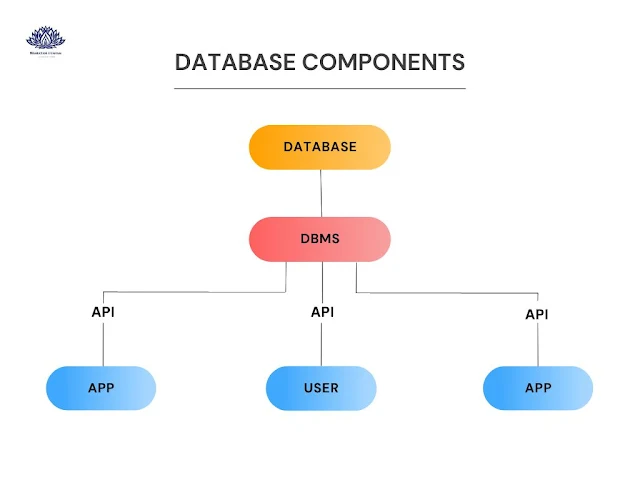 Database Components