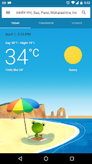 Google-Weather-frog