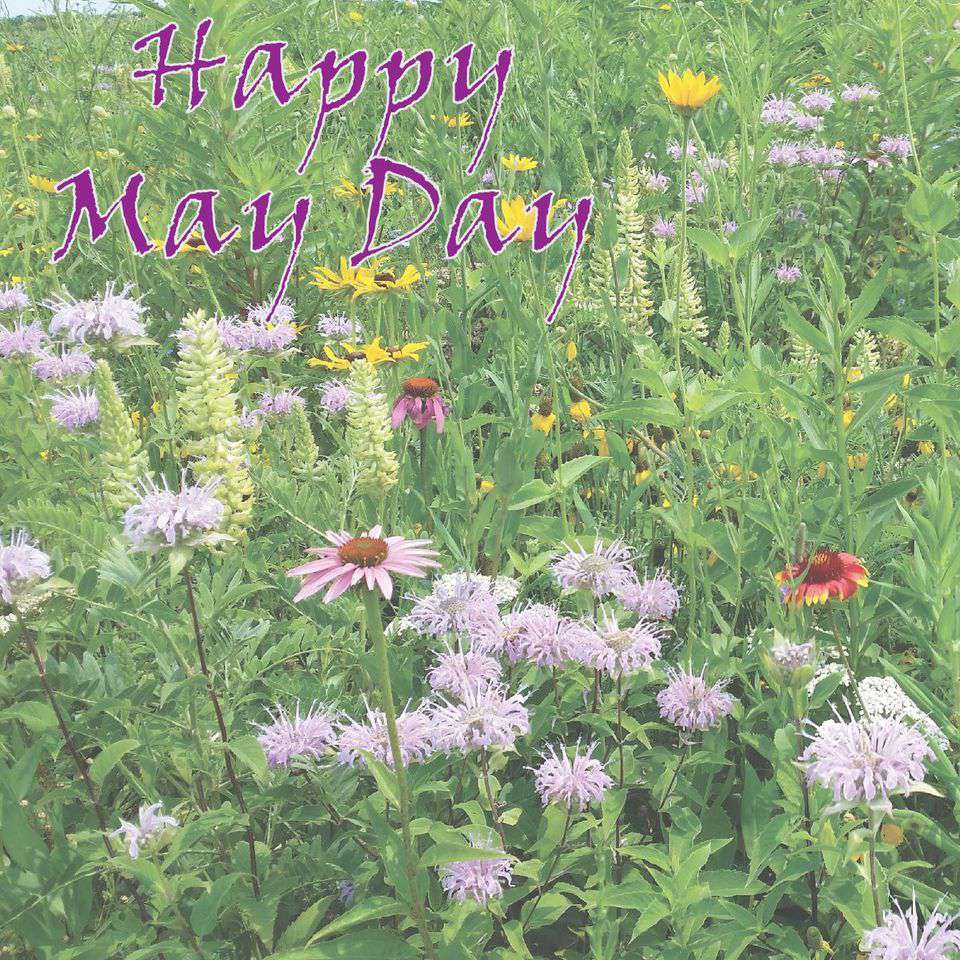 May Day Wishes Sweet Images