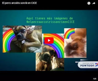 video el perro arcoiris sonrie en CICE de Dennisse