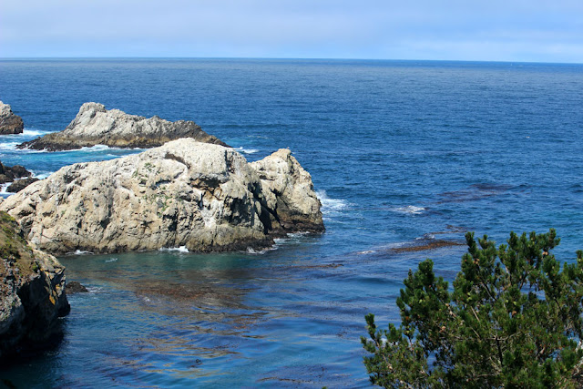 Point Lobos State Reserve, China Cove, Nature Photography