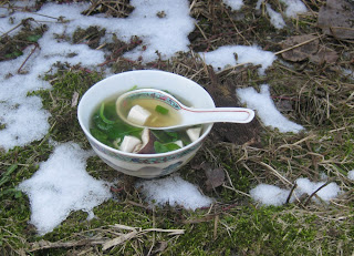 Klare Brühe mit Tofu, Spinat und Shiitakepilzen