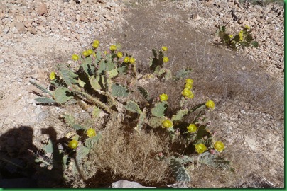 P1070241