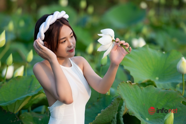 Đầm sen trắng nở rộ, hàng trăm người nô nức kéo về check-in mỗi ngày <a href= Đầm sen trắng nở rộ, hàng trăm người nô nức kéo về check-in mỗi ngày - Ảnh 1.