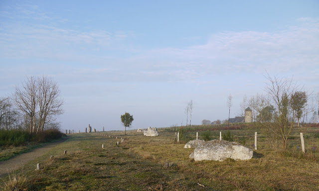 Les alignements du moulin, dans les Landes de Cojoux,  se composent de plusieurs files