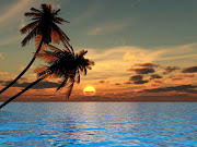 Sunset Beach wallpaper (coconut palm sunset beach wallpaper)