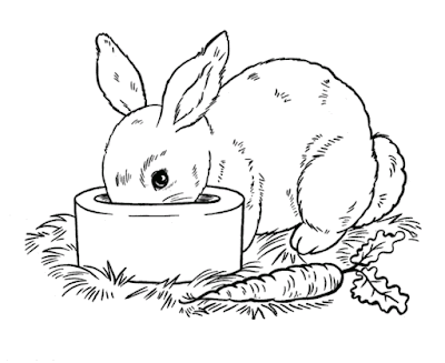 Mewarnai Gambar Sketsa Kelinci Makan Wortel Warna Hitam Putih Bagus untuk Diwarnai Anak TK atau SD_Rabbit eating carrots coloring pages for kids_ Los conejos de la imagen comían zanahorias