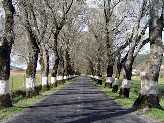 Marvão