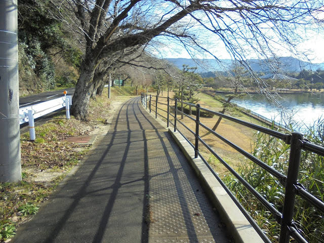 東郷湖羽合臨海公園あやめ池公園へ向かいます