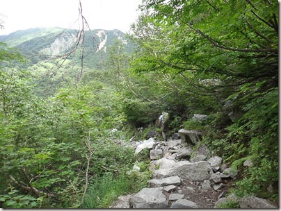 362DSC04363-362