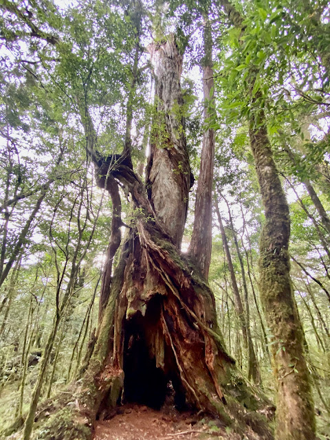 巴福越嶺古道