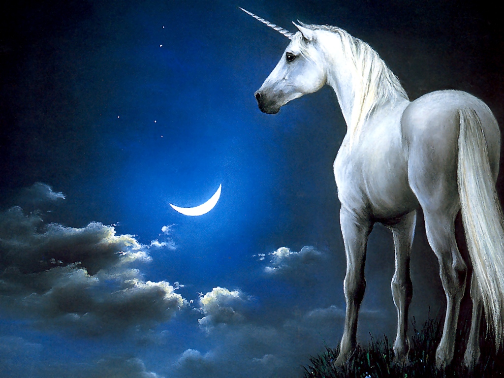 Unicorn Wallpaper Funny Pictures Amazing Wallpapers Fantasy